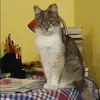 Отзыв от Майя Скворцова